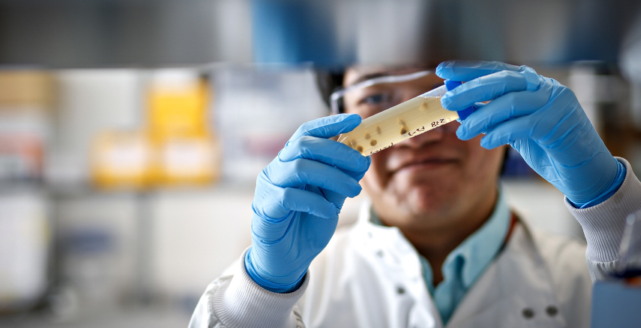 Concept Life Sciences project