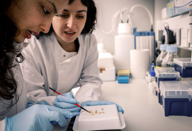portrait image of a scientists in an educational environment